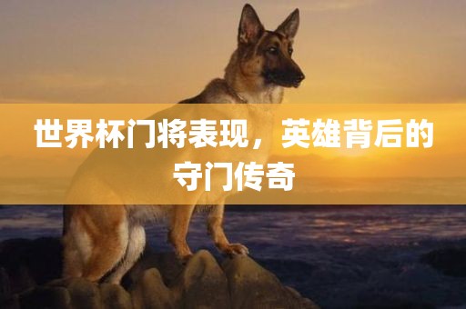 世界杯门将表现，英雄背后的守门传奇广西贺州市华昌新材料有限公司