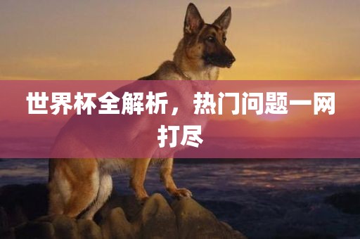 世界杯全解析，热门问广西贺州市华昌新材料有限公司题一网打尽
