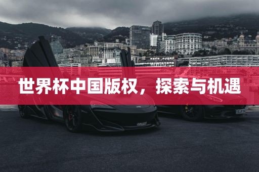 世界杯中广西贺州市华昌新材料有限公司国版权，探索与机遇