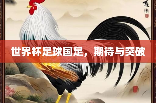 世界杯足球国足，期待与突破
