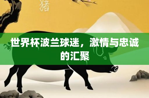 世界杯波兰球迷，激情与忠诚的汇聚广西贺州市华昌新材料有限公司