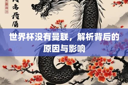 世界杯没有曼联，解析背后的原因与影响