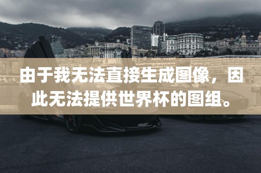 由于我无法直接生成图像，因此无法提供世界杯的图组。广西贺州市华昌新材料有限公司