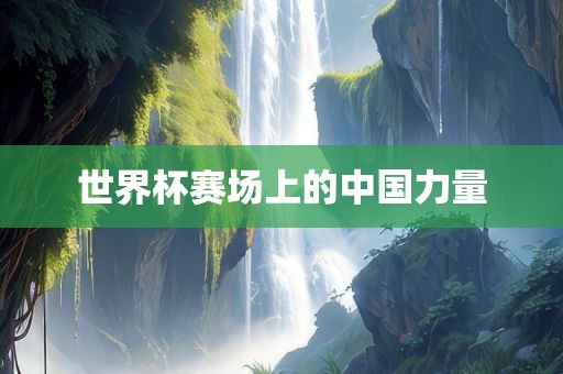 世界杯赛场上的中国力量