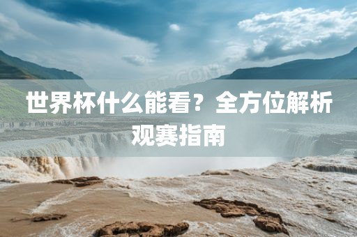 世界杯什么能看？全方位解析观赛指南