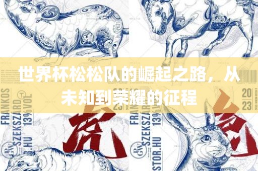 世界杯松松队的崛起之路，从未知到荣耀的征程广西贺州市华昌新材料有限公司