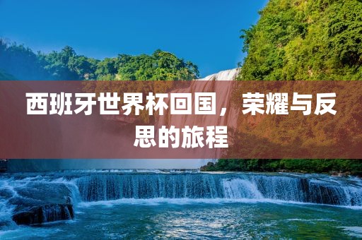 西班牙世界杯回国，荣耀与反思的旅程