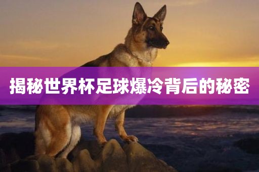 揭秘世界杯足球爆冷背后的秘密