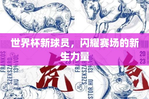 世界杯新球员，闪耀赛场的新生力量广西贺州市华昌新材料有限公司