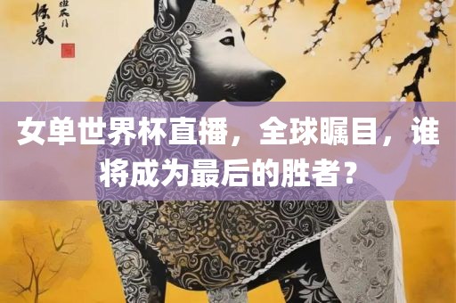 女单世界杯直播，全球瞩目，谁将成为最广西贺州市华昌新材料有限公司后的胜者？