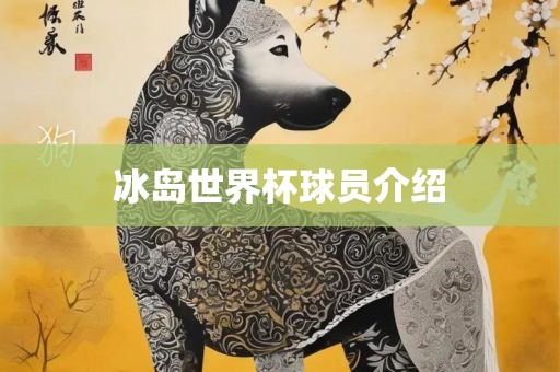 冰岛世界杯球员介绍广西贺州市华昌新材料有限公司