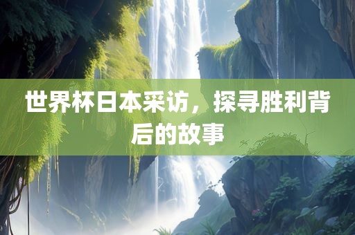 世界杯日本采访，探寻胜利背后的故事广西贺州市华昌新材料有限公司