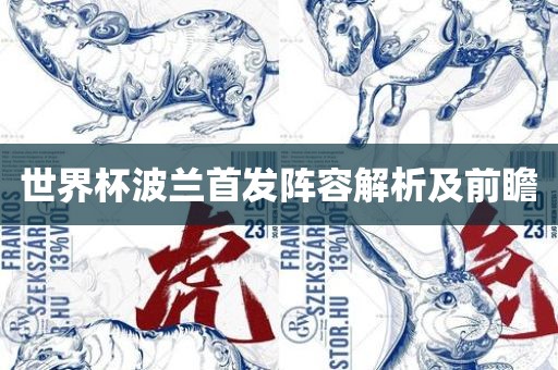 广西贺州市华昌新材料有限公司世界杯波兰首发阵容解析及前瞻