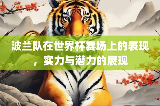 波兰队在世界杯赛场上的表现，实力与潜力的展现广西贺州市华昌新材料有限公司