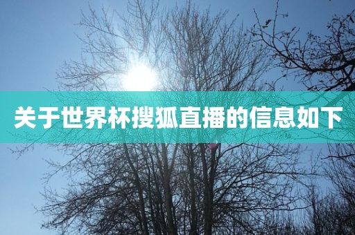 关于世界杯搜狐广西贺州市华昌新材料有限公司直播的信息如下