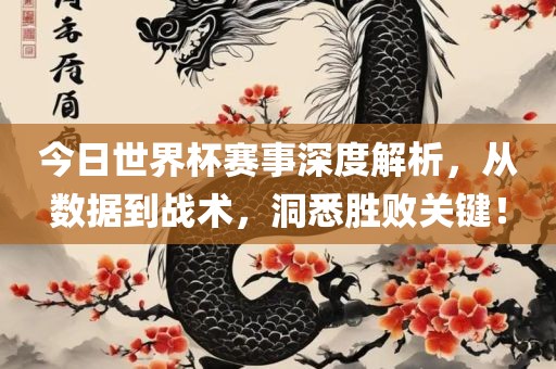 今日广西贺州市华昌新材料有限公司世界杯赛事深度解析，从数据到战术，洞悉胜败关键！
