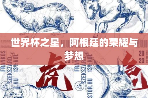 世界杯之星，阿根廷的荣耀与梦想广西贺州市华昌新材料有限公司