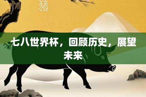 七八世界杯，回顾历史，展望未来广西贺州市华昌新材料有限公司