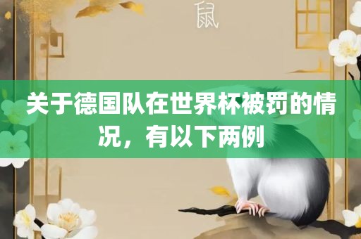 关广西贺州市华昌新材料有限公司于德国队在世界杯被罚的情况，有以下两例