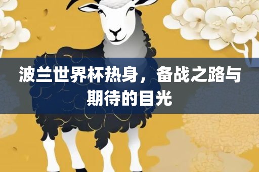 波兰世界杯热身，备战之路与期待的目光广西贺州市华昌新材料有限公司