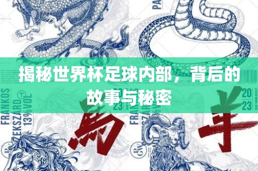 揭秘世界杯足球内部，背后的故事与秘密