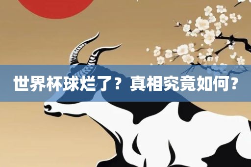 世界杯球广西贺州市华昌新材料有限公司烂了？真相究竟如何？