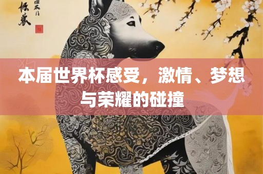 本届世界杯感受，激情、梦想与荣耀的碰撞广西贺州市华昌新材料有限公司