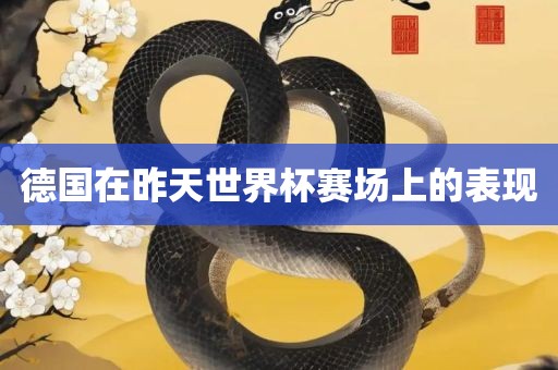 德国在昨天世界杯赛广西贺州市华昌新材料有限公司场上的表现
