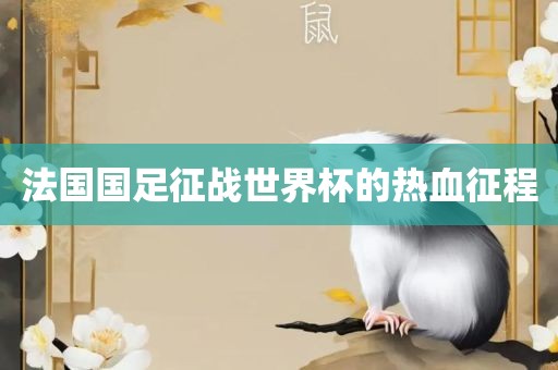法国国足征战世界杯的热血征程广西贺州市华昌新材料有限公司