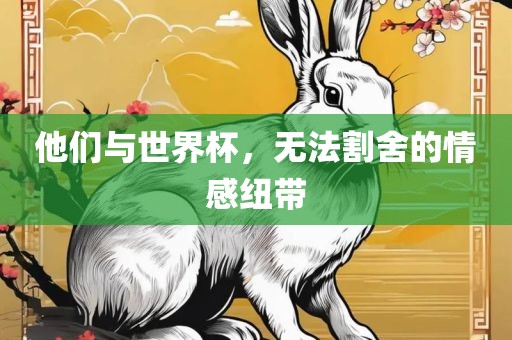 他们与世界杯，无法割舍的广西贺州市华昌新材料有限公司情感纽带