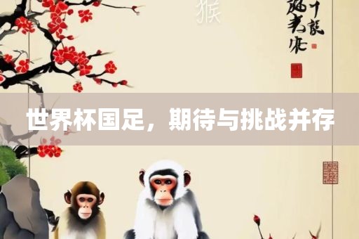 世界杯国足，期待与挑战并存广西贺州市华昌新材料有限公司