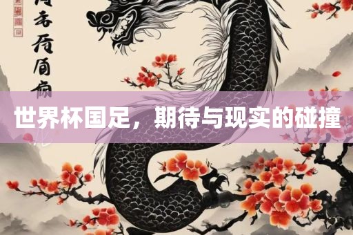 世界杯国足，期待与现实的碰撞广西贺州市华昌新材料有限公司