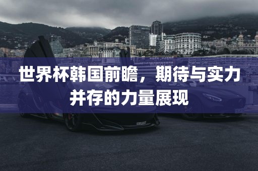 世界杯韩国前瞻，期待与实力并存的力量展现广西贺州市华昌新材料有限公司