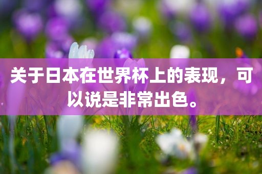关于日本在世界杯上的表现，可以说是非常出色。广西贺州市华昌新材料有限公司