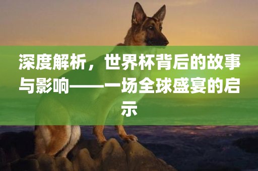 深度解析，世界杯背后的故事与影响——一场全球盛宴的启示广西贺州市华昌新材料有限公司