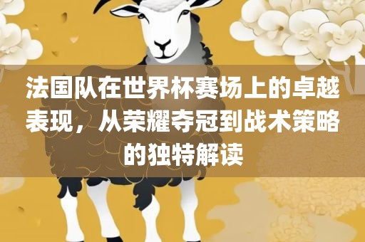 法国队在世界杯赛场上的卓越表现，从荣耀夺冠到战术策略的独特广西贺州市华昌新材料有限公司解读