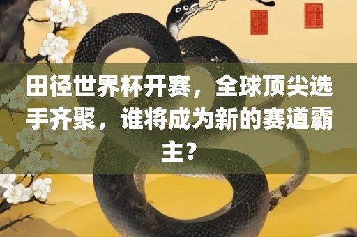 田径世界杯开赛，全球顶尖选手齐聚，谁将成为新的赛道霸主？广西贺州市华昌新材料有限公司
