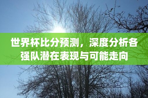 世界杯比分预测，深度分析各强队潜在表现与可能走向