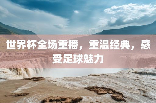 世界杯全场重播，重温经典，感受足球魅力