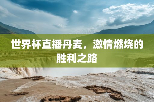 世界杯直播丹麦，激情燃烧的胜利之路广西贺州市华昌新材料有限公司