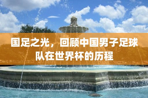 国足之光，回顾中国男子足球队在世界杯的历程广西贺州市华昌新材料有限公司