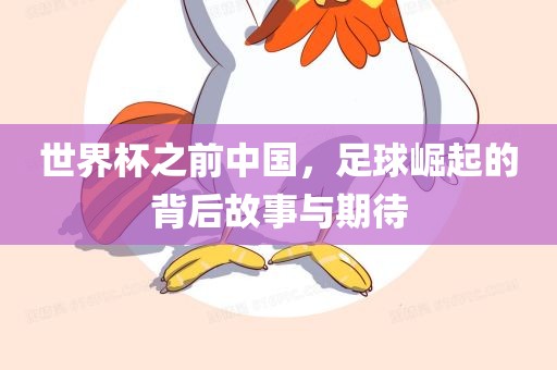 世界杯之前中国，足球崛起的背后故事与期待广西贺州市华昌新材料有限公司