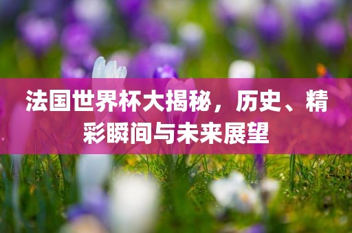 法国世界杯大揭秘，历史、精彩瞬间与未来展望