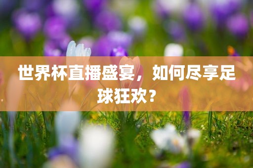 世界杯直播盛宴，如何尽享足球狂欢？广西贺州市华昌新材料有限公司