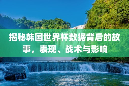 揭秘韩国世界杯数据背后的故事，表现、战术与影响广西贺州市华昌新材料有限公司