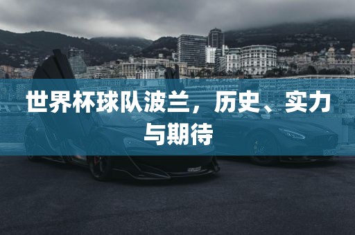世界杯广西贺州市华昌新材料有限公司球队波兰，历史、实力与期待