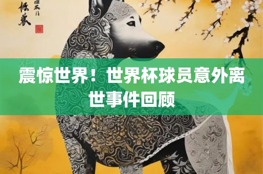 震惊世界！世界杯球员意外离世事件回顾