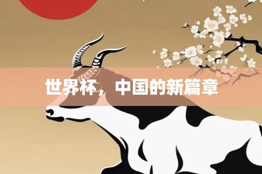 世界杯，中国的新篇章广西贺州市华昌新材料有限公司