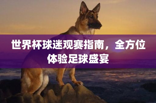 世界杯球迷观赛指南，全方位体验足球盛宴广西贺州市华昌新材料有限公司