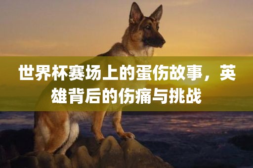 世界杯赛场上的蛋伤故事，英雄背后的伤痛与挑战广西贺州市华昌新材料有限公司